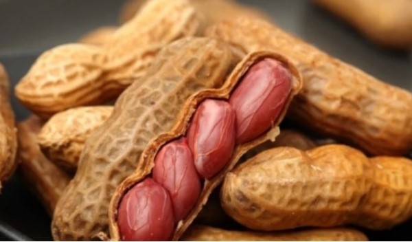 Trong một khẩu phần lạc luộc bao nhiêu calo?