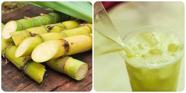 Các yếu tố ảnh hưởng đến độ béo của nước mía