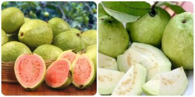 Ổi bao nhiêu protein?