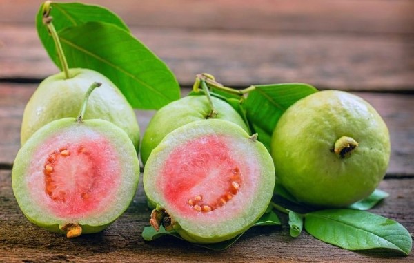 Giá trị dinh dưỡng phong phú có trong ổi