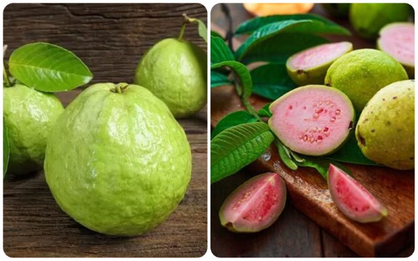 Ảnh hưởng của lượng calo trong ổi đến quá trình giảm cân